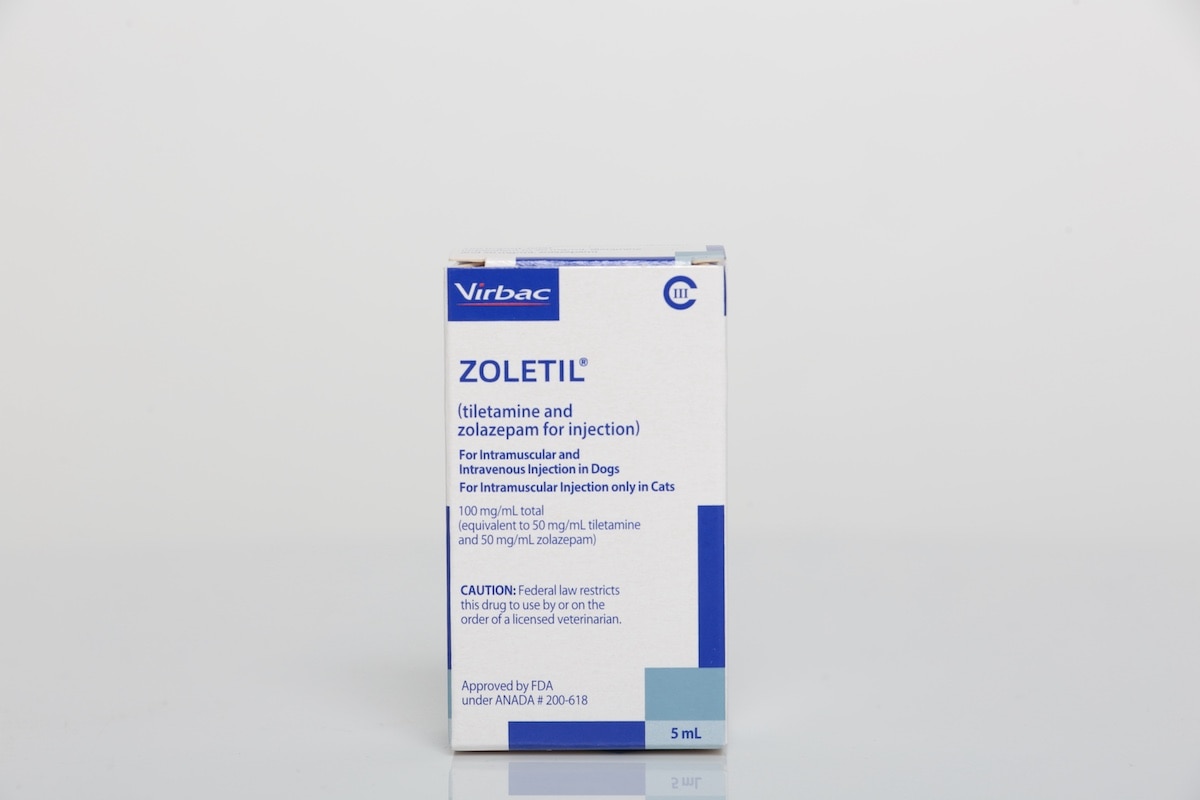 薬物治療学 : VISUAL CORE PHARMA 51311-0718-05_x.jpg?resizeid=